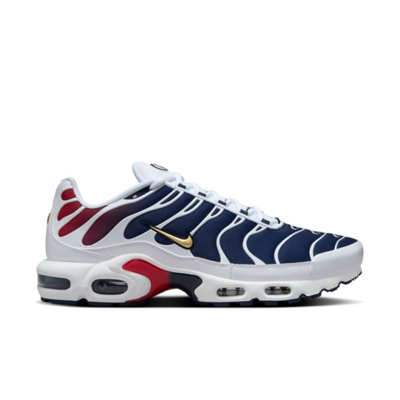 Nike Air Max Plus PSG