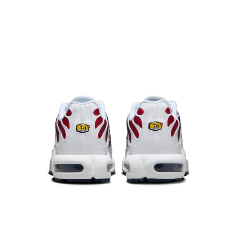Nike Air Max Plus "PSG"