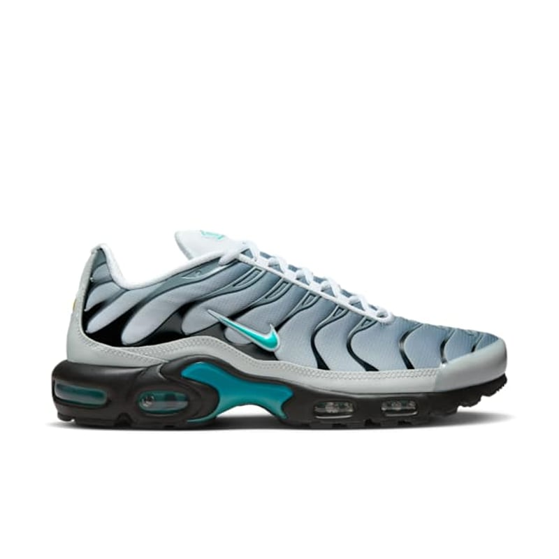 Nike Air Max Plus x One Block Down Reverse Pack